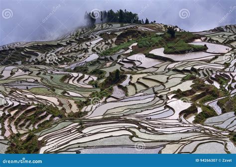 De Yuanyang Grotten: Een mystiek avontuur door duizenden jaren oude rotsformaties!